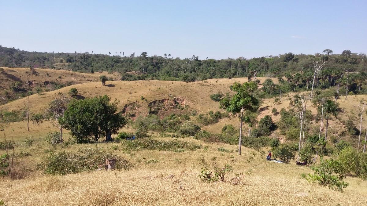 Registro de marca em Corumbiara, Rondônia