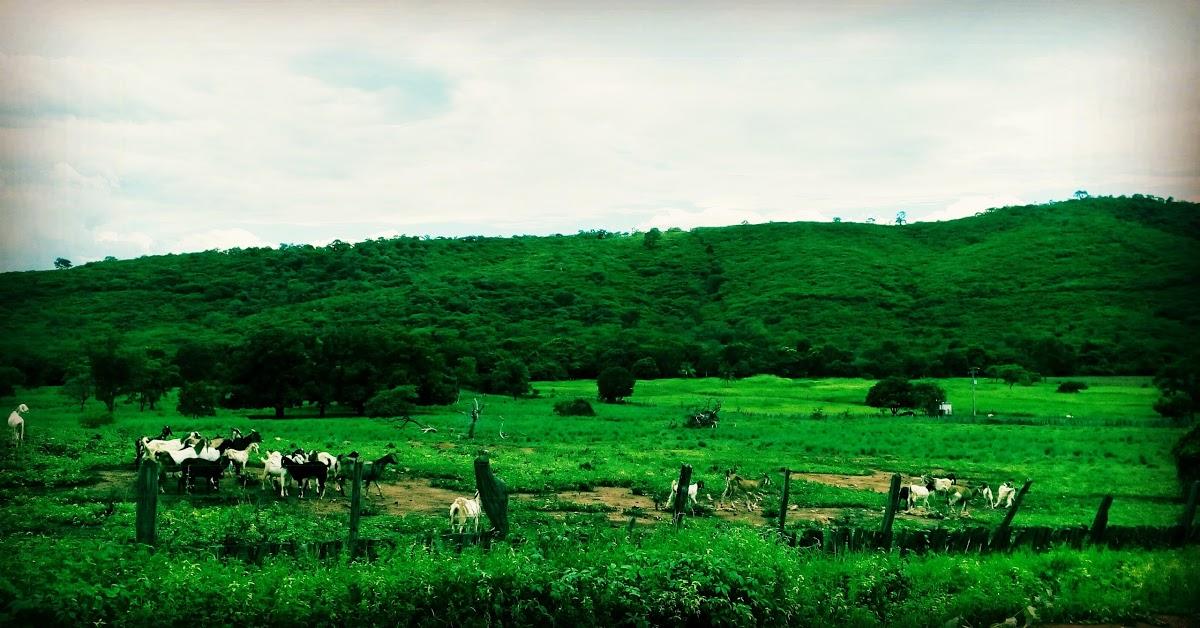 Registro de marca em Cotegipe, Bahia