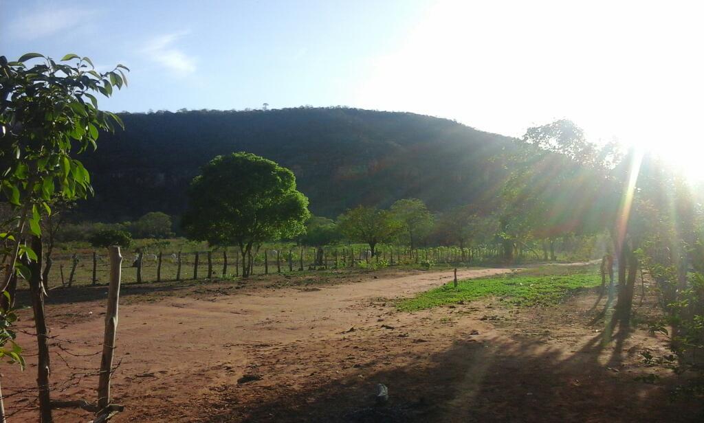 Registro de marca em Cristino Castro, Piauí