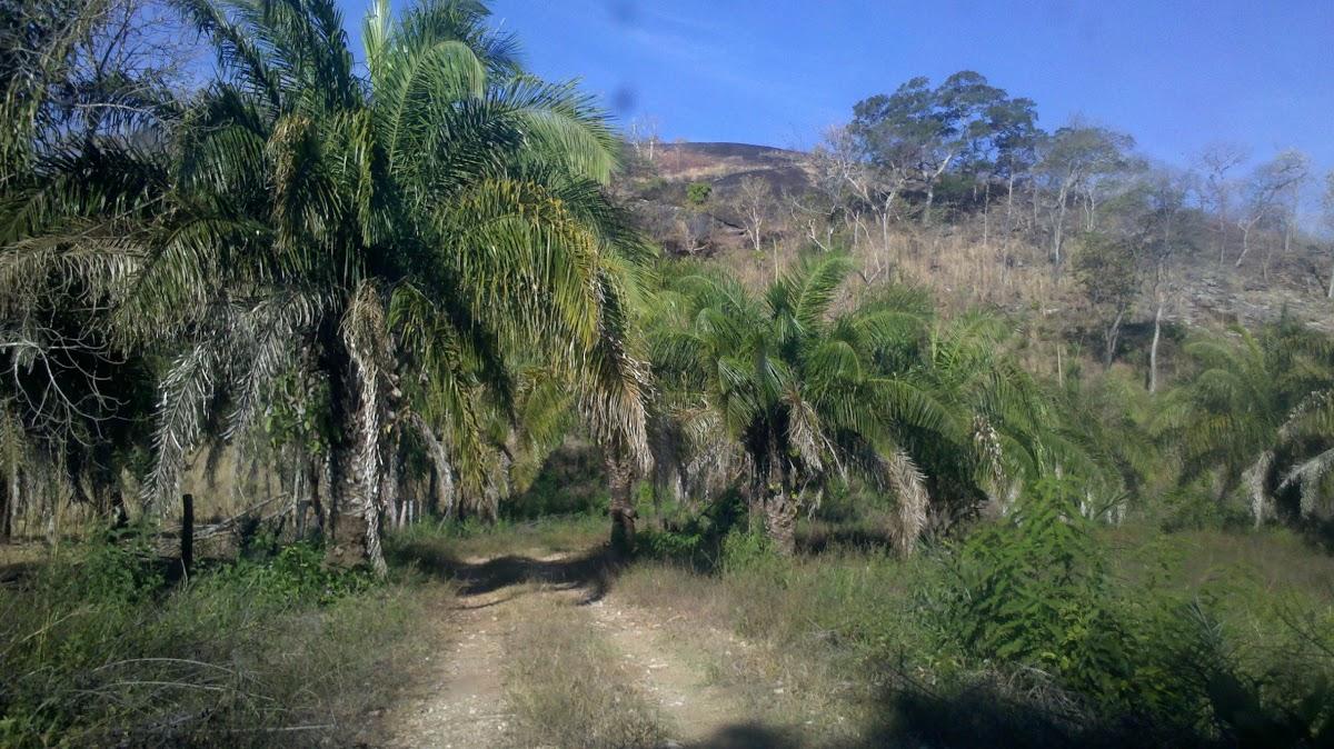 Registro de marca em Crixás, Goiás