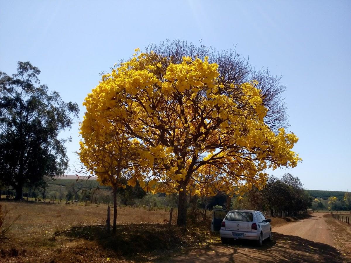 Registro de marca em Cruzeiro da Fortaleza, Minas Gerais