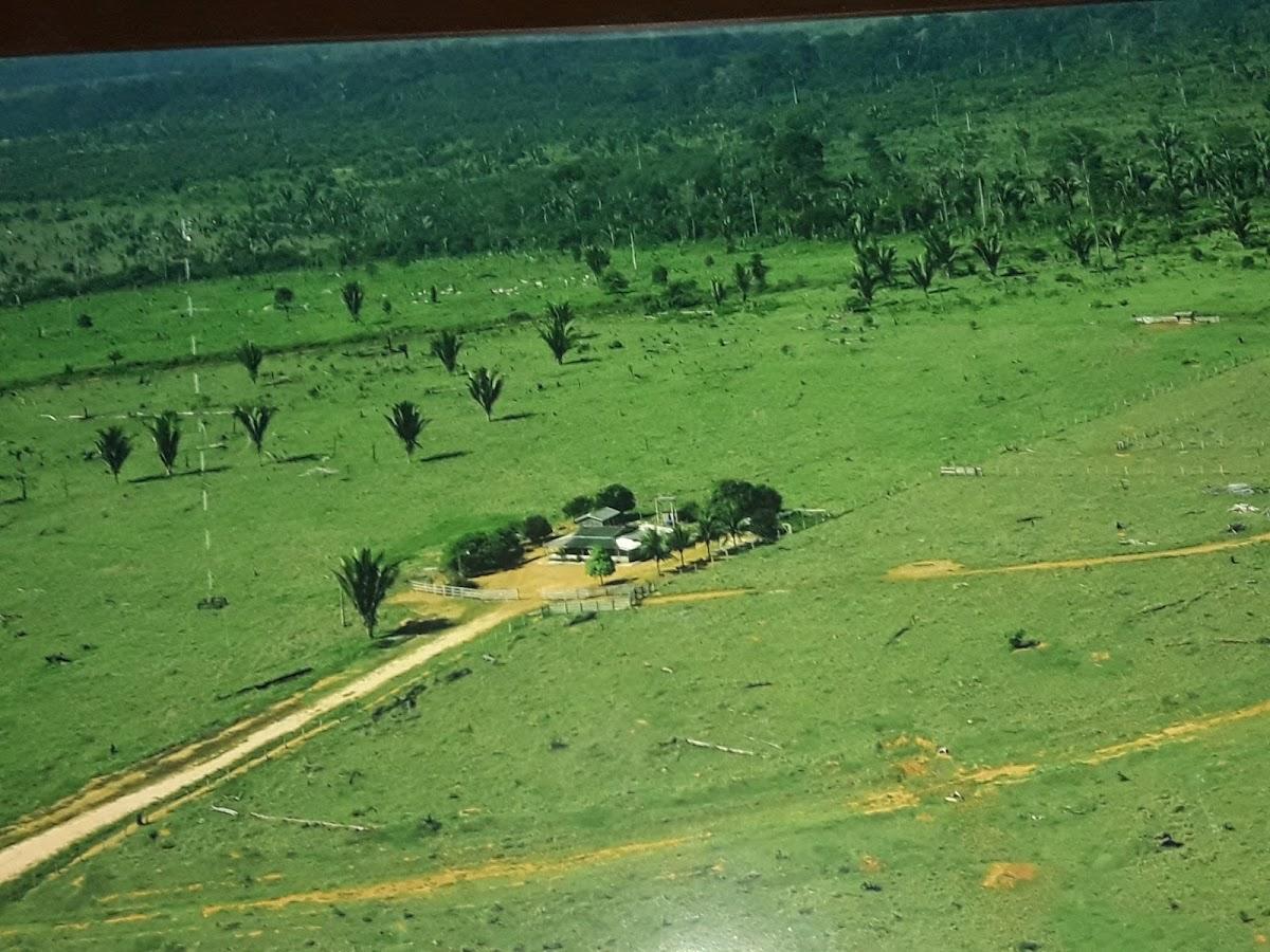 Registro de marca em Cujubim, Rondônia