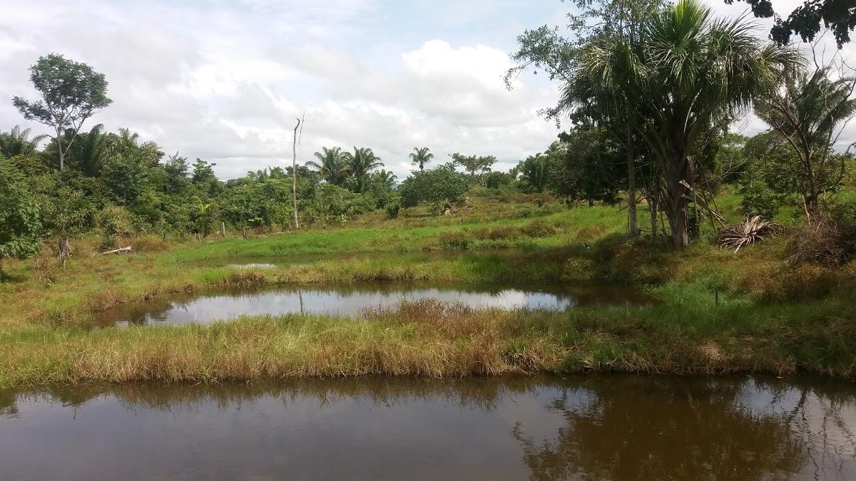 Registro de marca em Cumaru do Norte, Pará