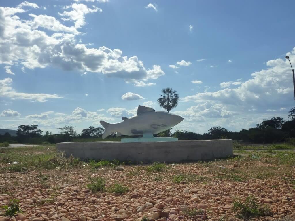 Registro de marca em Curimatá, Piauí