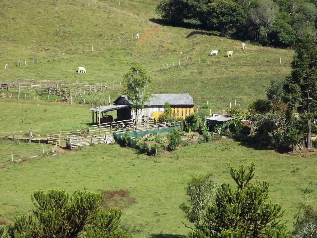 Registro de marca em Curitibanos, Santa Catarina