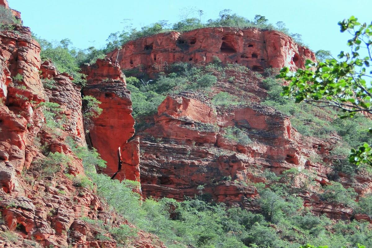 Registro de marca em Currais, Piauí