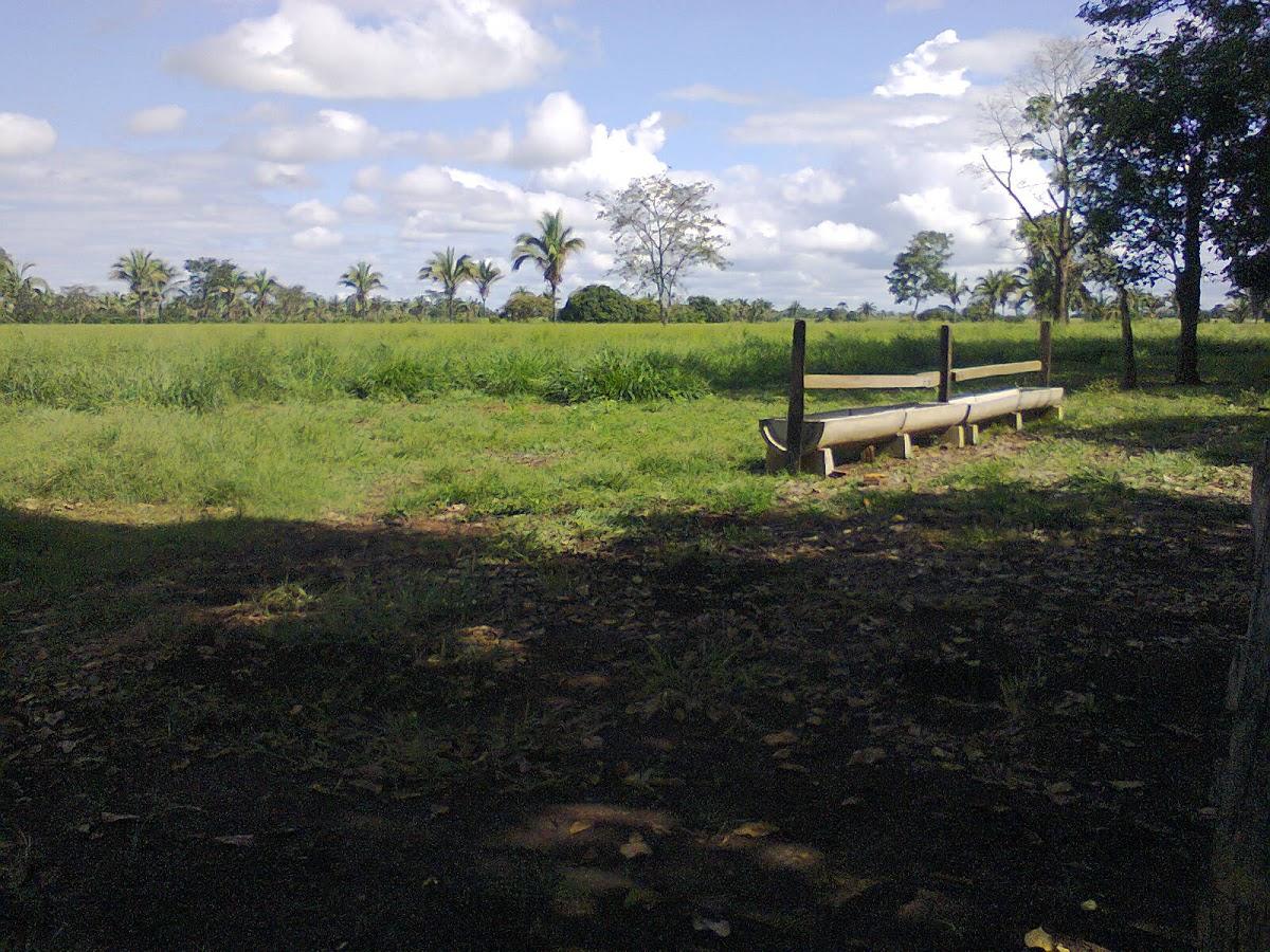 Registro de marca em Curvelândia, Mato Grosso