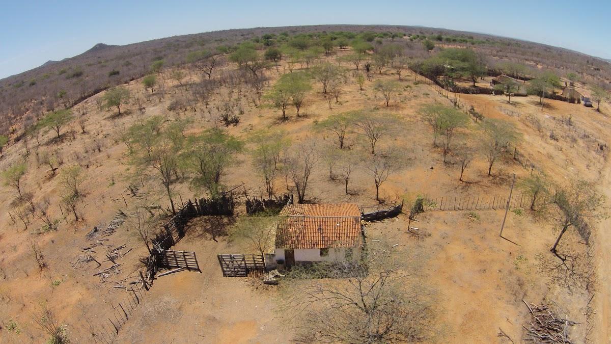 Registro de marca em Custódia, Pernambuco