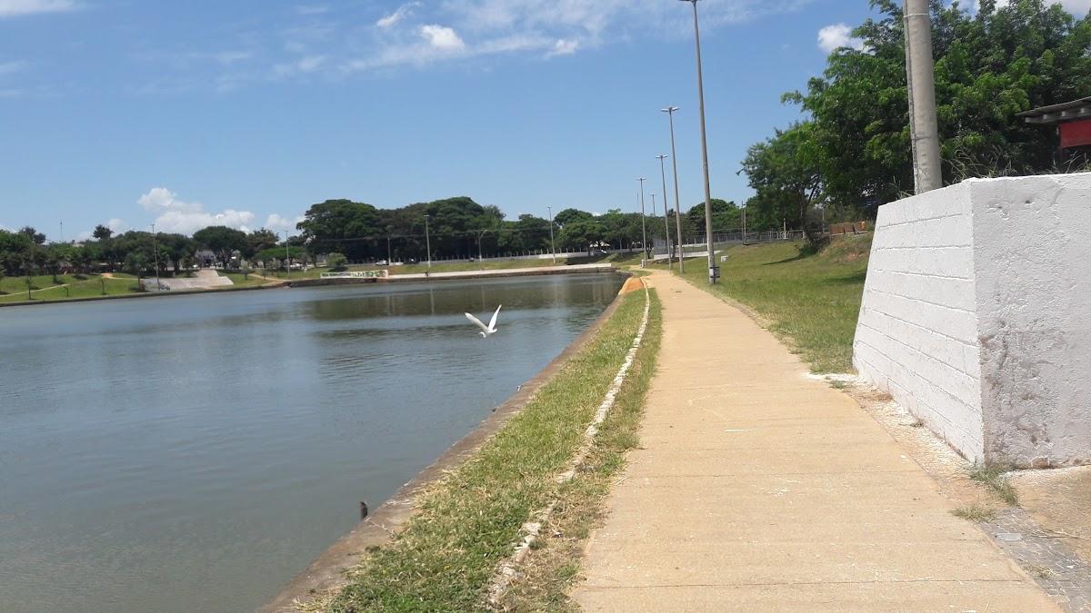 Registro de marca em Damianópolis, Goiás