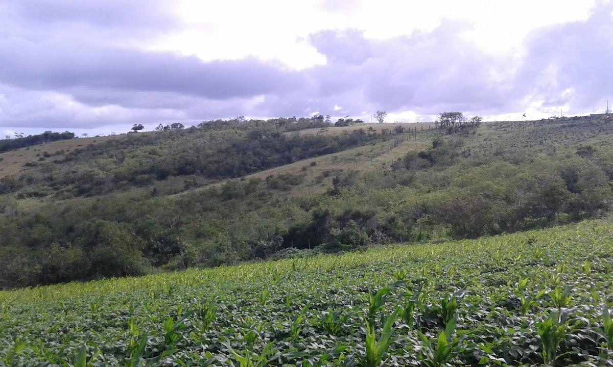 Registro de marca em Damião, Paraíba