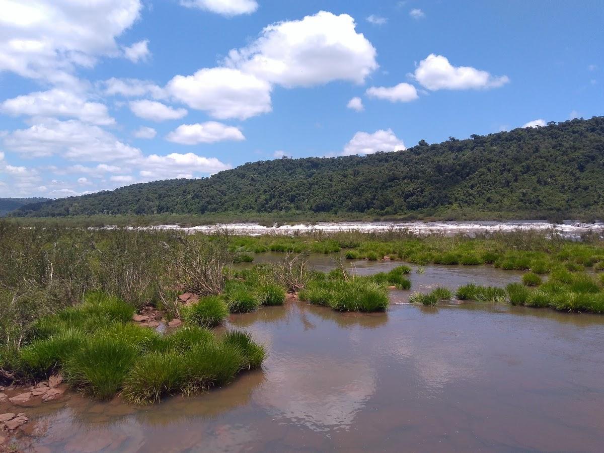 Registro de marca em Derrubadas, Rio Grande do Sul