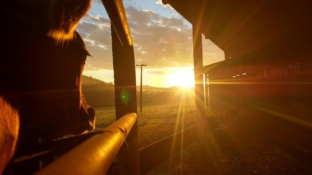 Registro de marca em Descanso, Santa Catarina