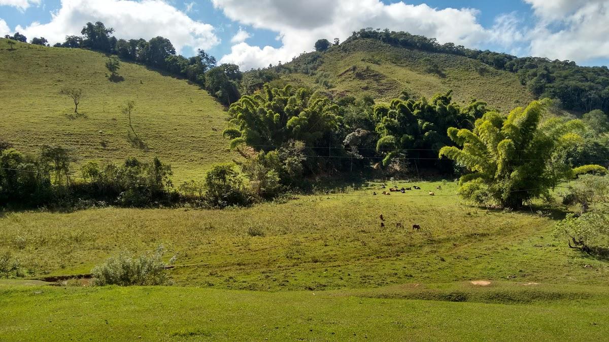 Registro de marca em Diogo de Vasconcelos, Minas Gerais