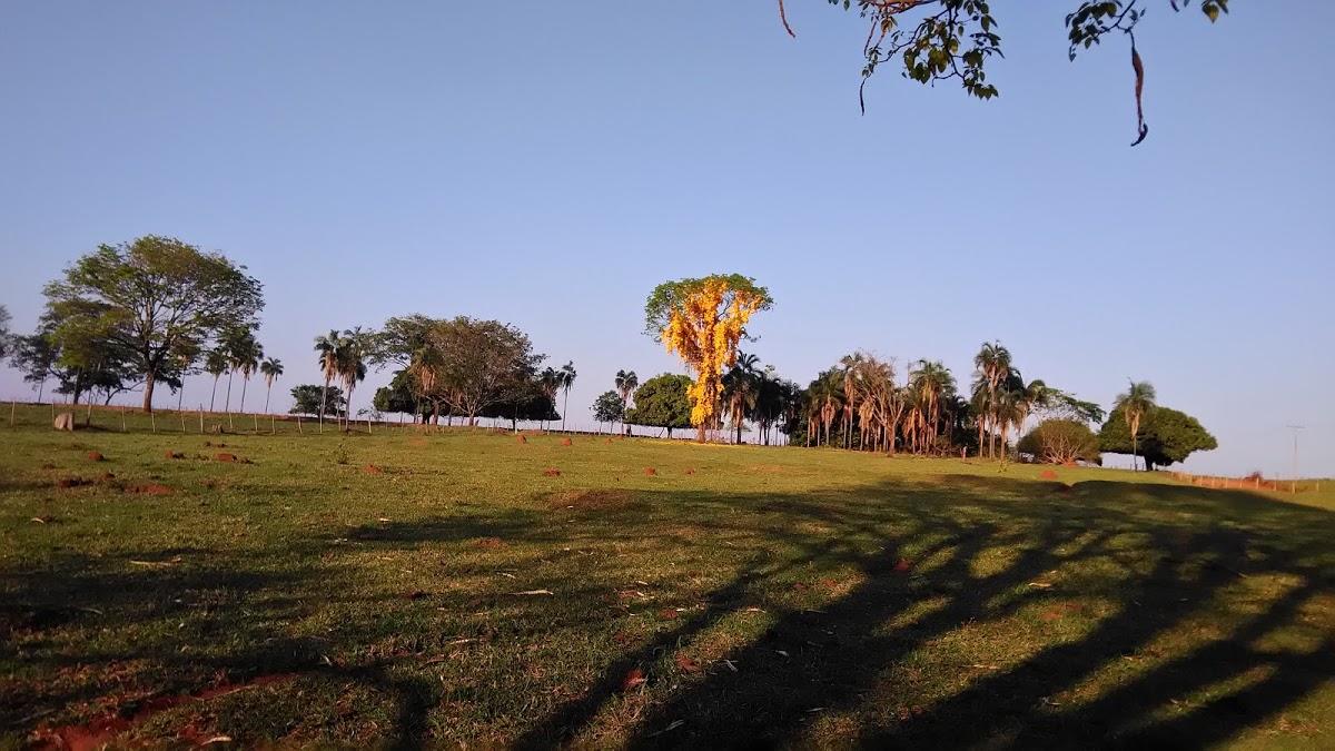 Registro de marca em Dirce Reis, São Paulo