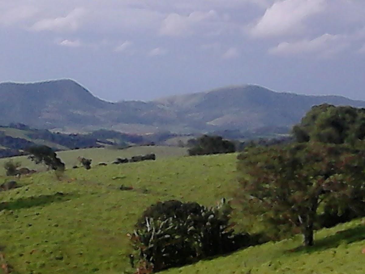 Registro de marca em Divisa Nova, Minas Gerais