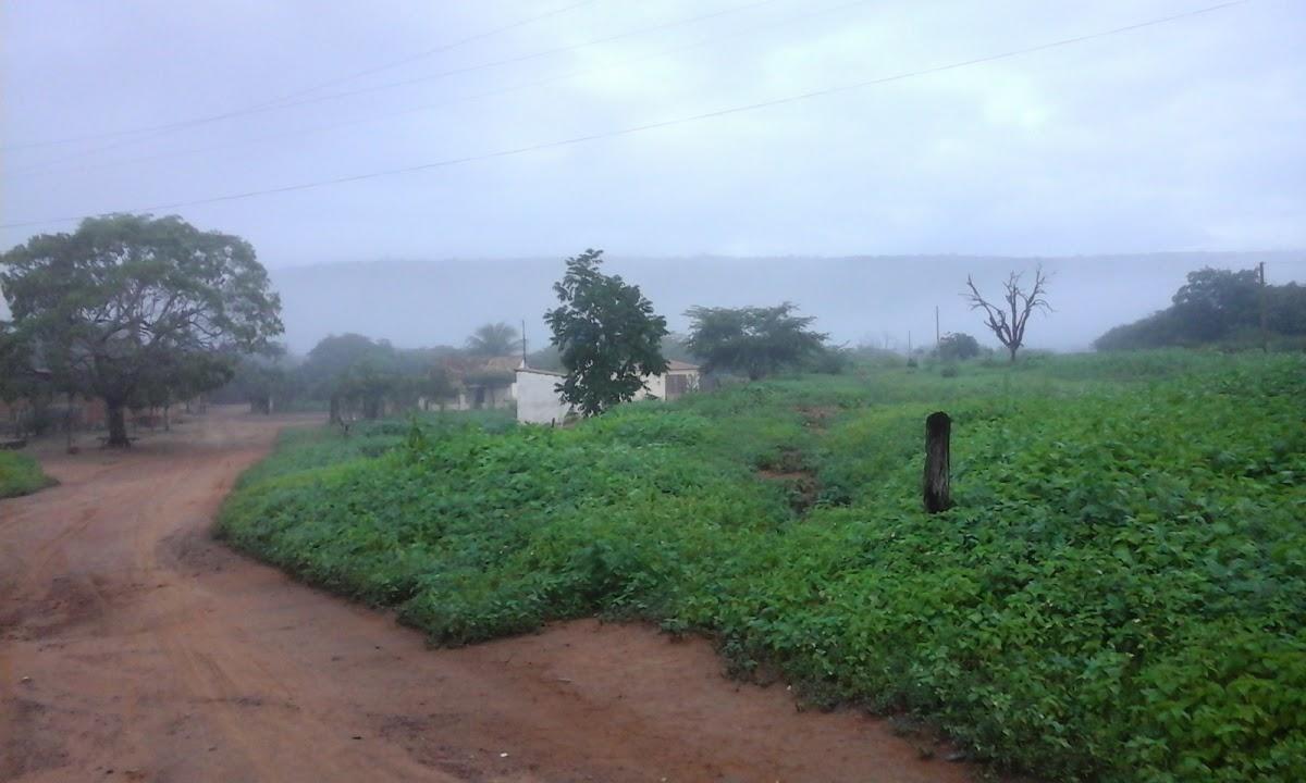 Registro de marca em Dom Expedito Lopes, Piauí