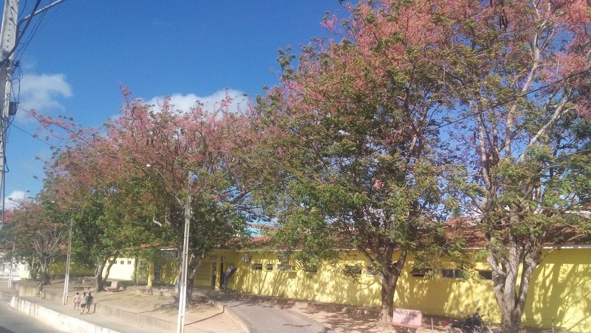 Registro de marca em Dona Inês, Paraíba