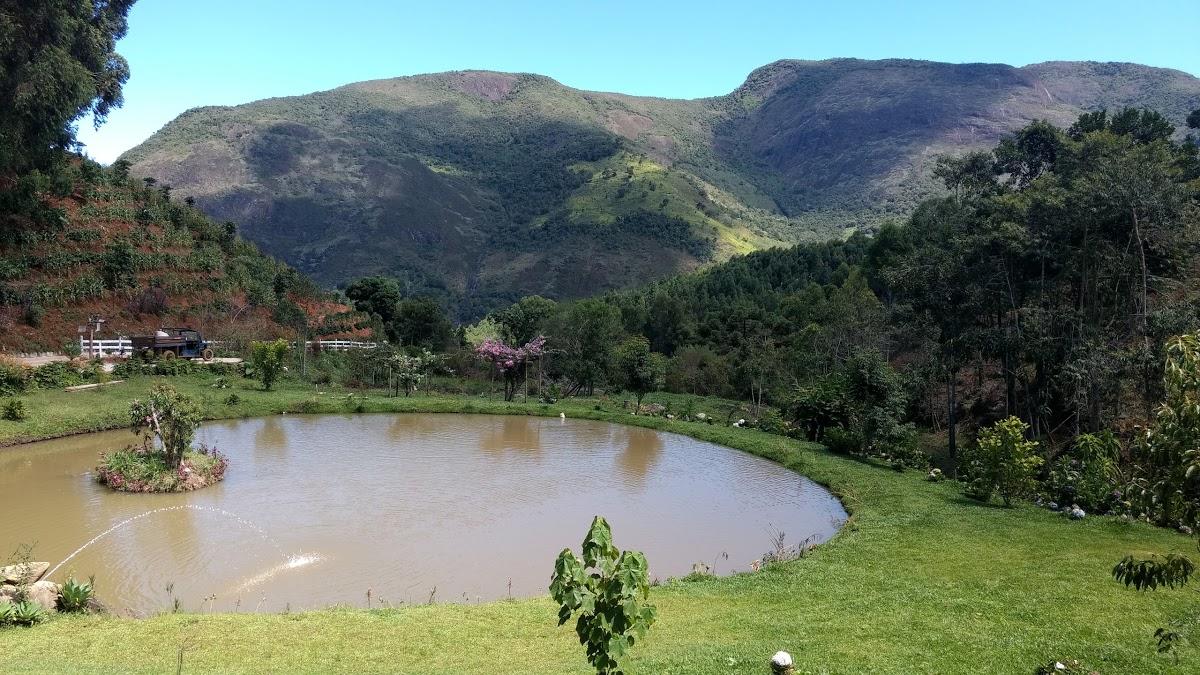 Registro de marca em Dores do Rio Preto, Espírito Santo