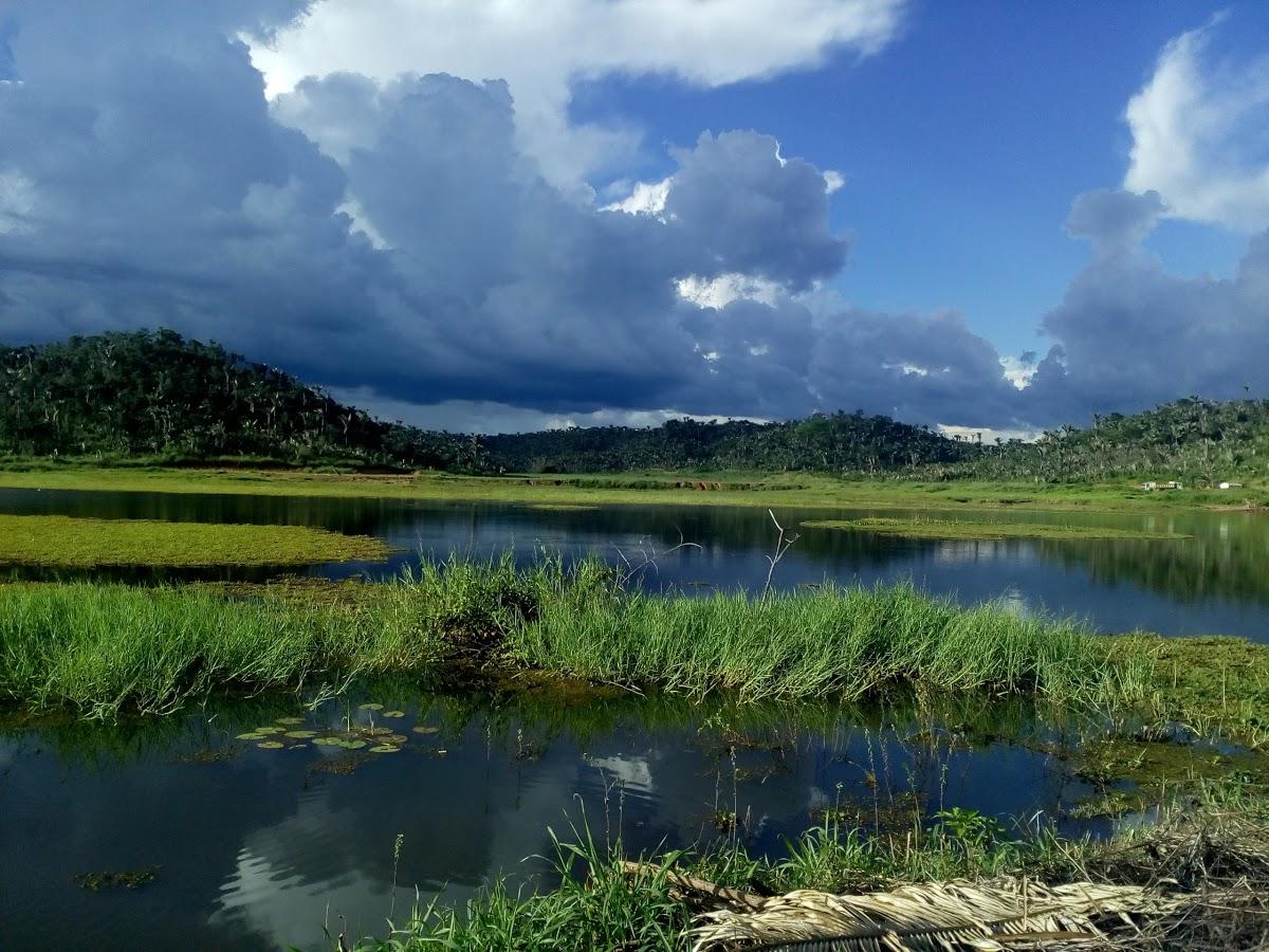 Registro de marca em Duque Bacelar, Maranhão