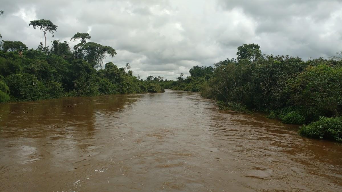 Registro de marca em Eldorado do Carajás, Pará