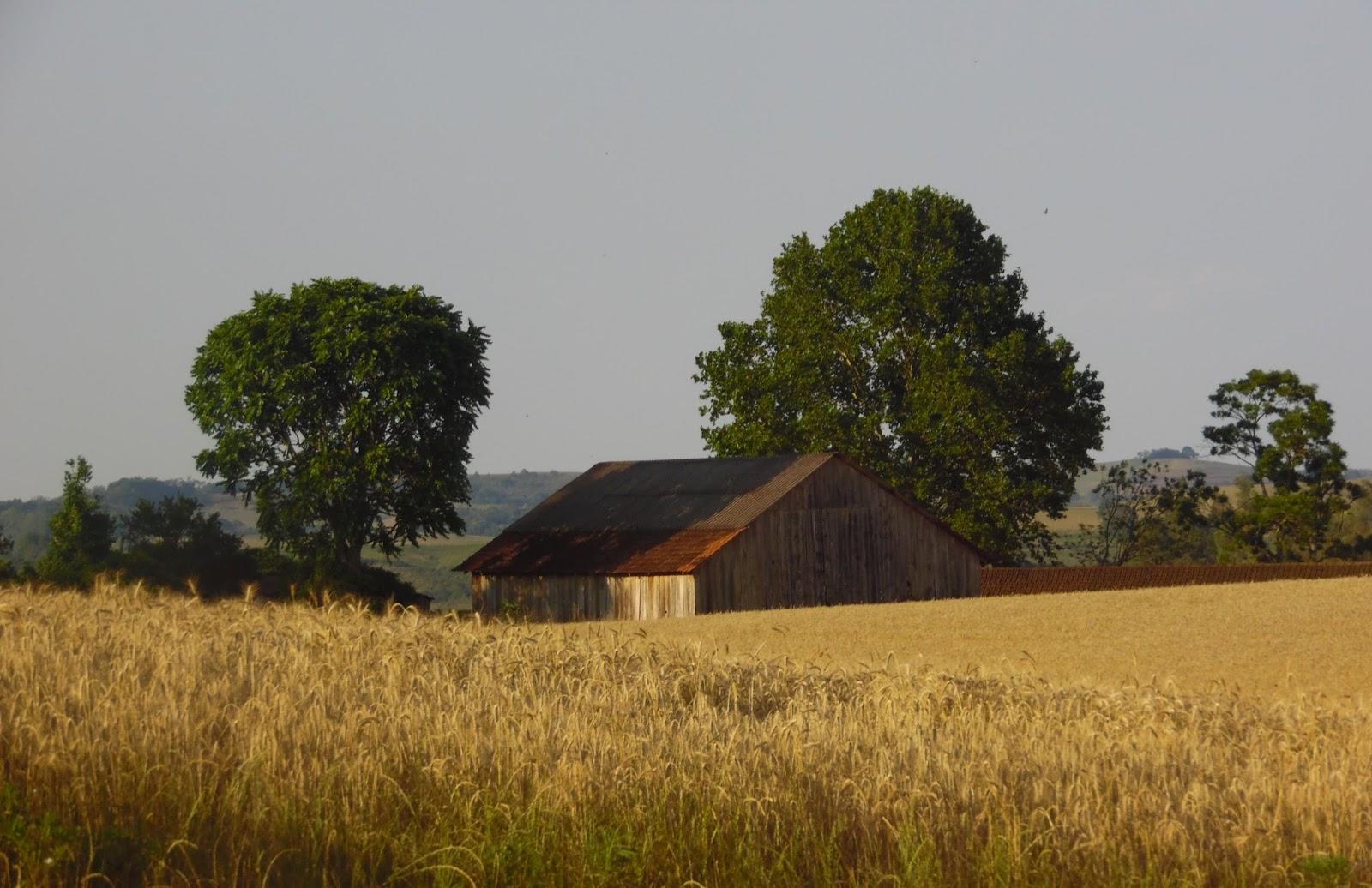Registro de marca em Engenho Velho, Rio Grande do Sul