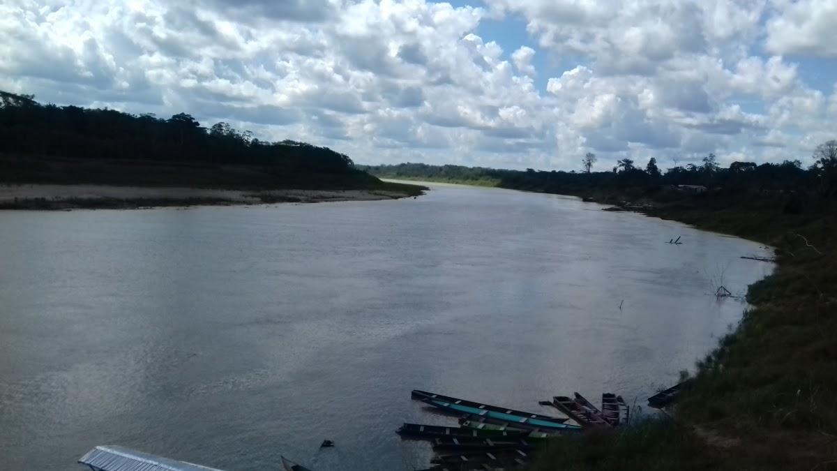 Registro de marca em Envira, Amazonas