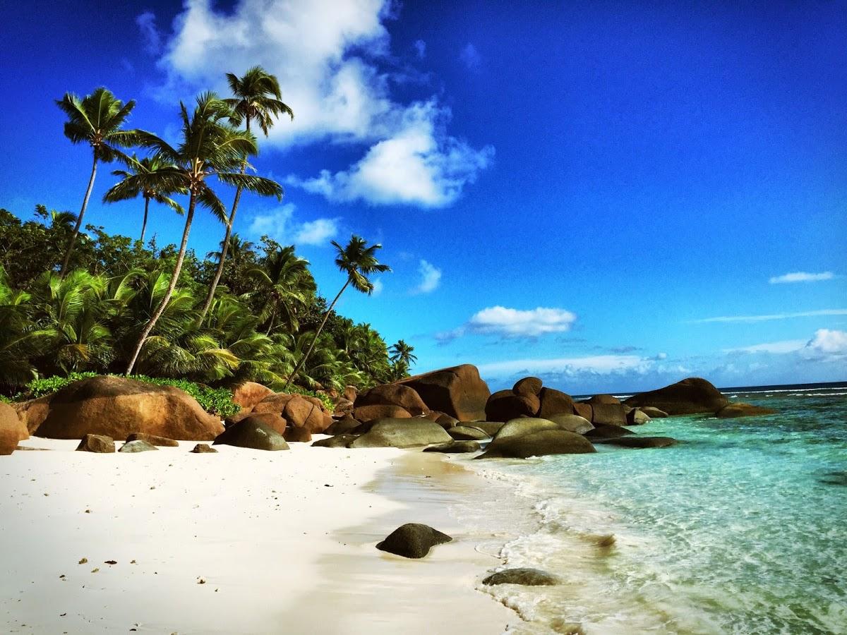 Registro de marca em Espigão D'Oeste, Rondônia