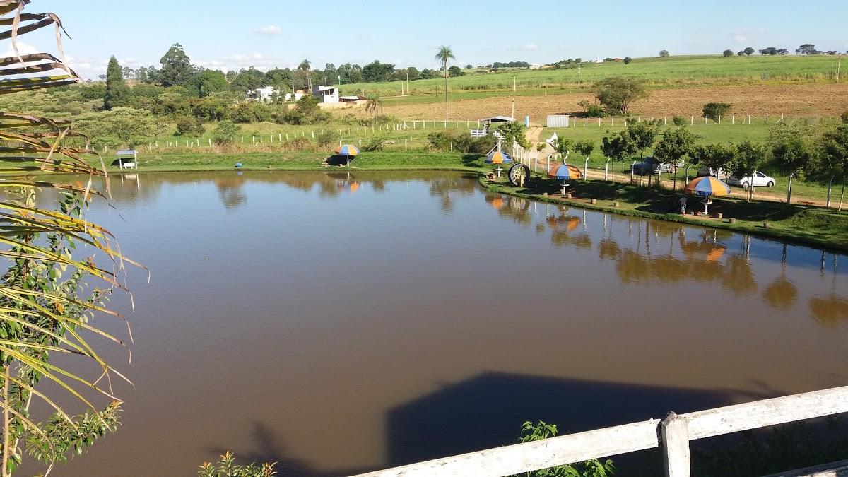Registro de marca em Estiva Gerbi, São Paulo