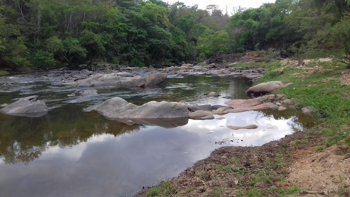 Registro de marca em Estrela do Sul, Minas Gerais
