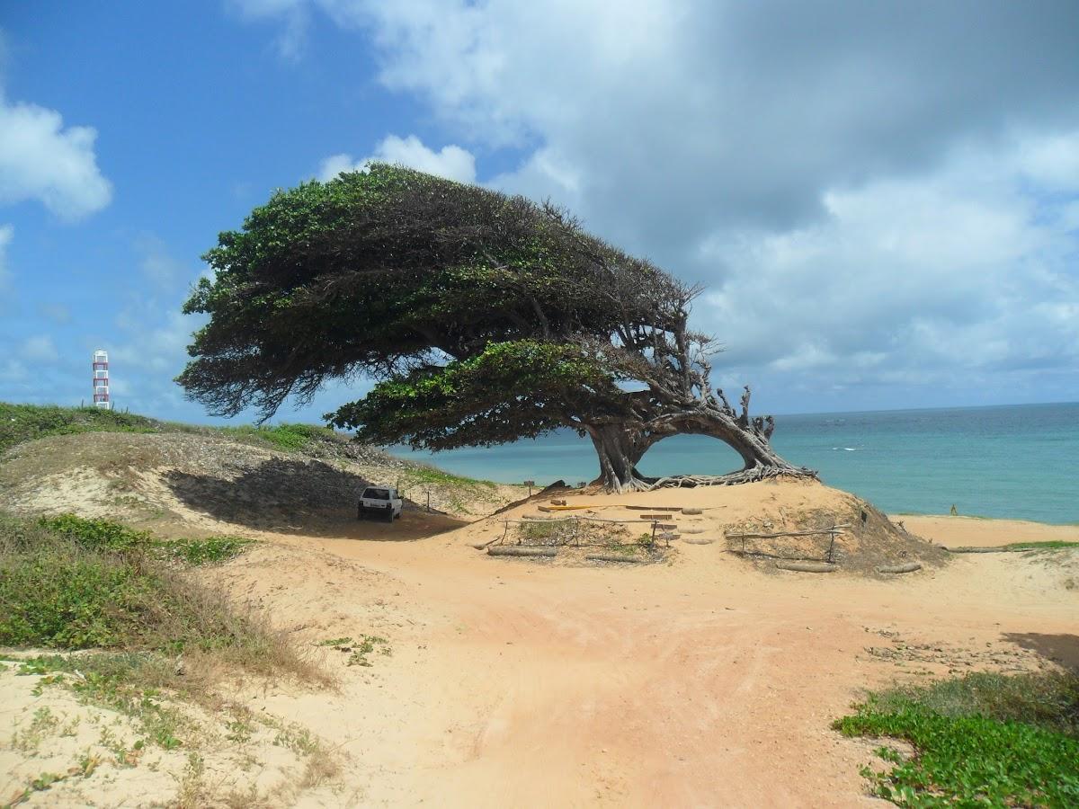 Registro de marca em Extremoz, Rio Grande do Norte