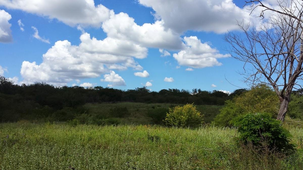 Registro de marca em Fartura do Piauí, Piauí