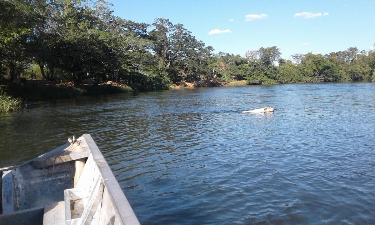 Registro de marca em Feira da Mata, Bahia