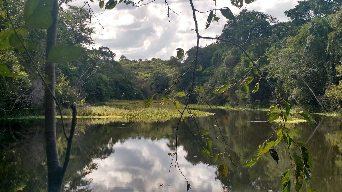 Registro de marca em Fênix, Paraná