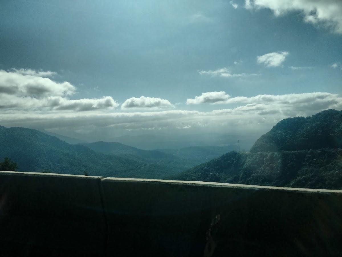 Registro de marca em Fernandes Pinheiro, Paraná