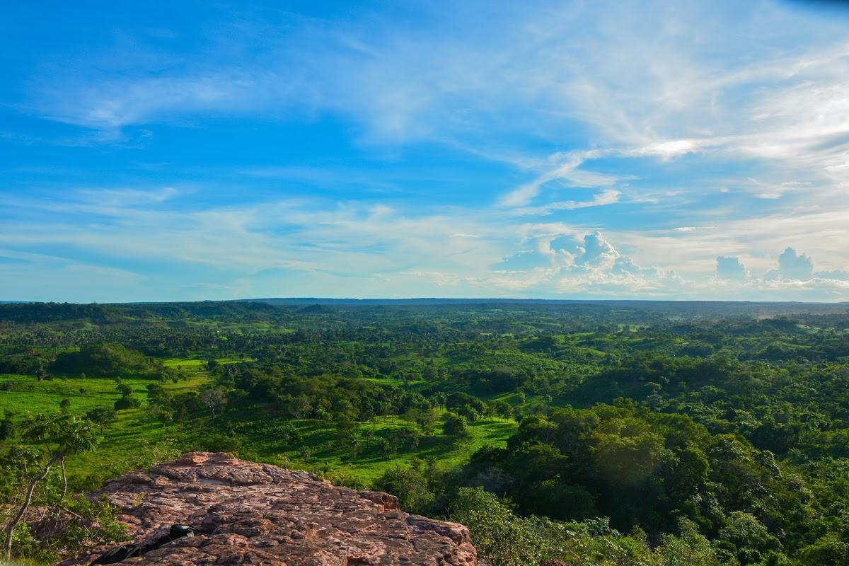 Registro de marca em Fernando Falcão, Maranhão