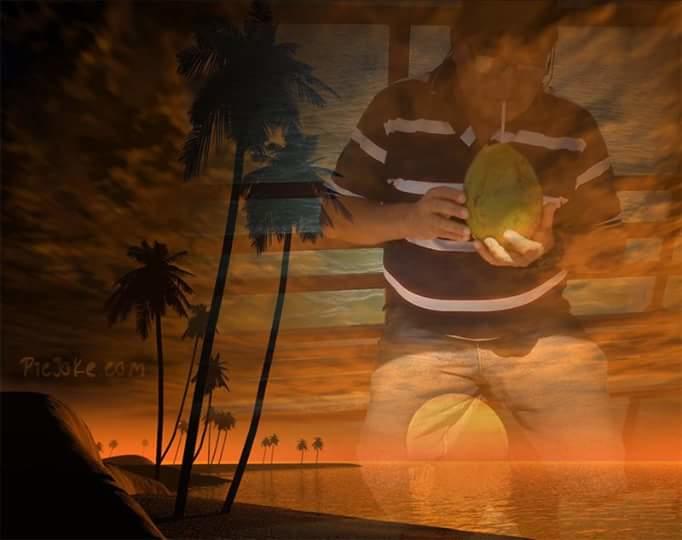 Registro de marca em Filadélfia, Tocantins