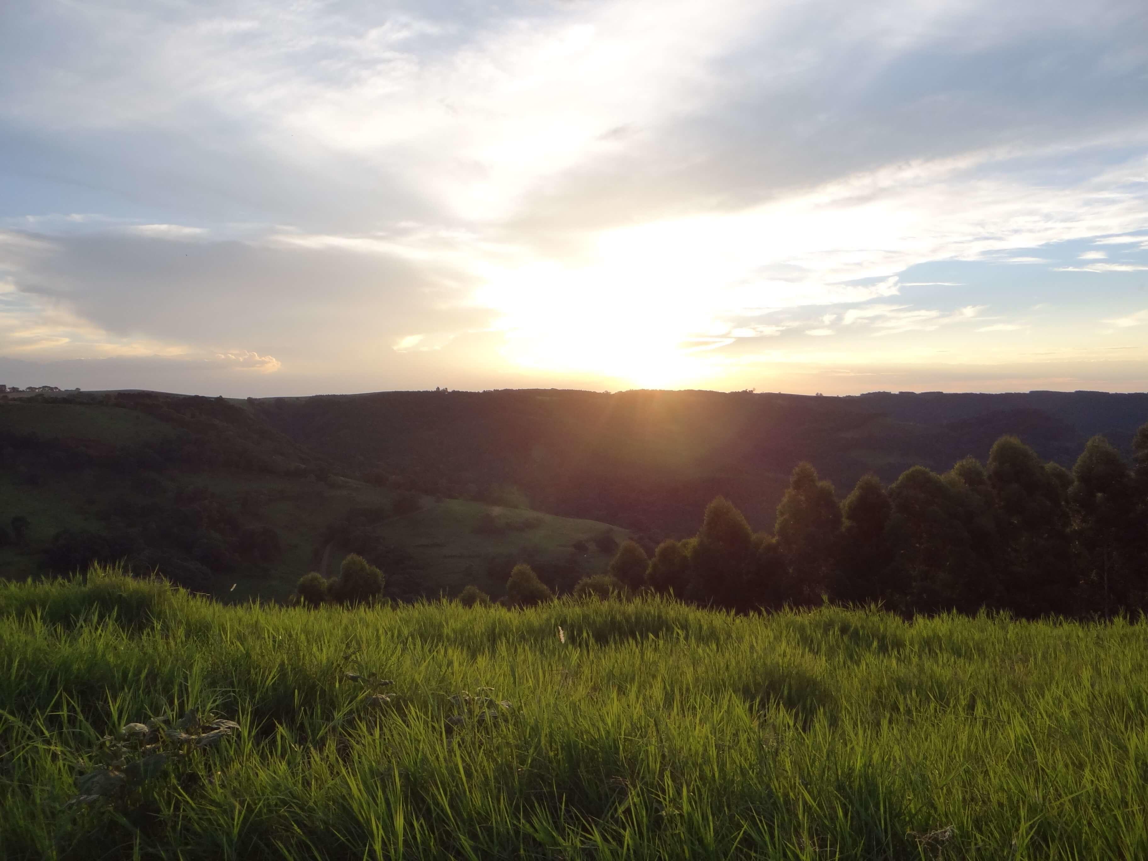 Registro de marca em Flor da Serra do Sul, Paraná
