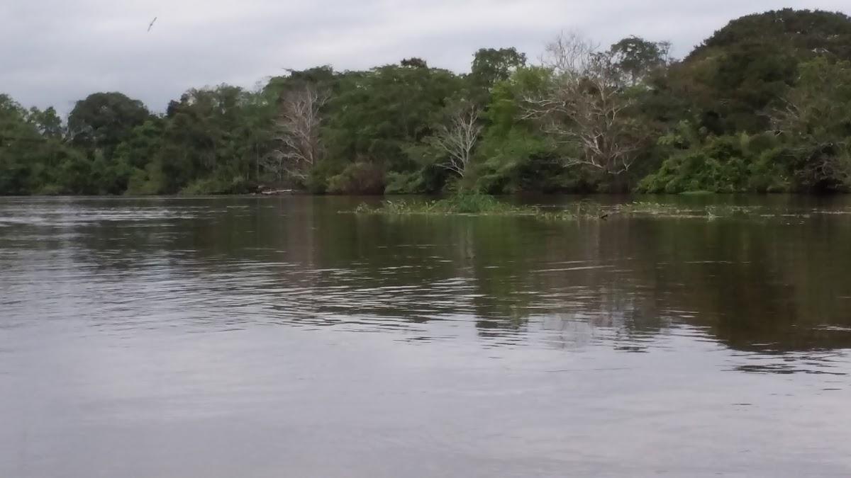 Registro de marca em Fonte Boa, Amazonas