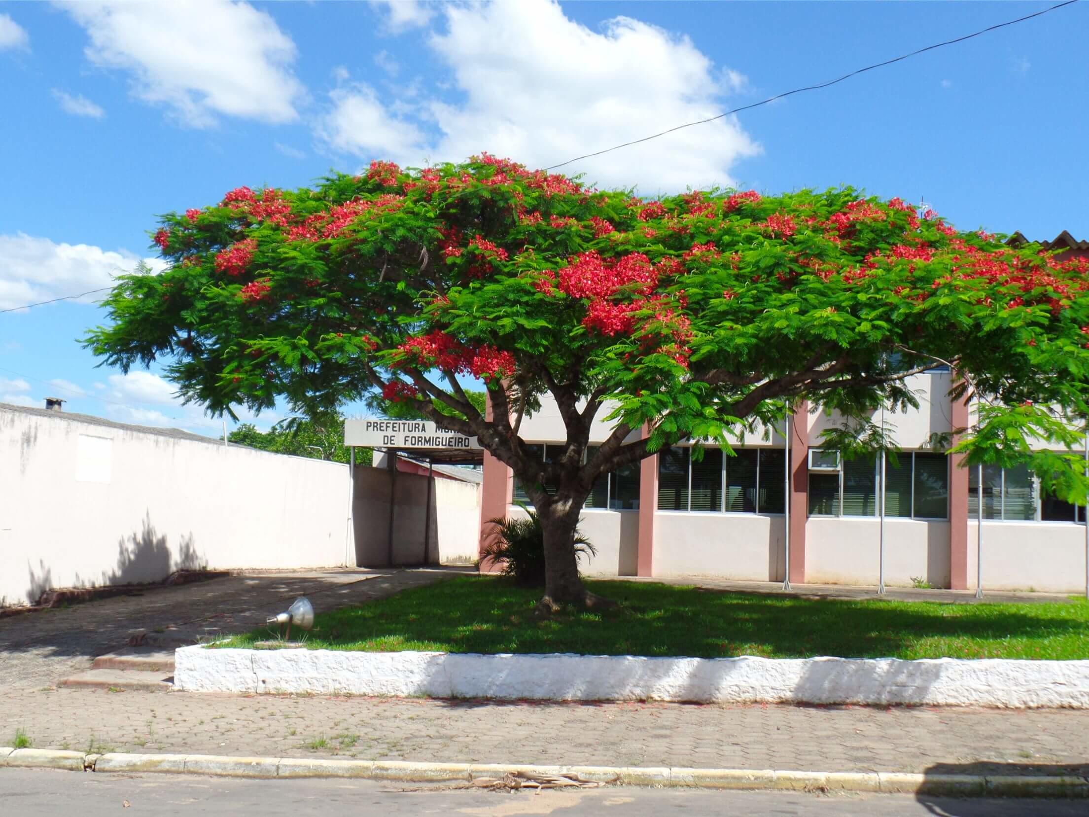 Registro de marca em Formigueiro, Rio Grande do Sul