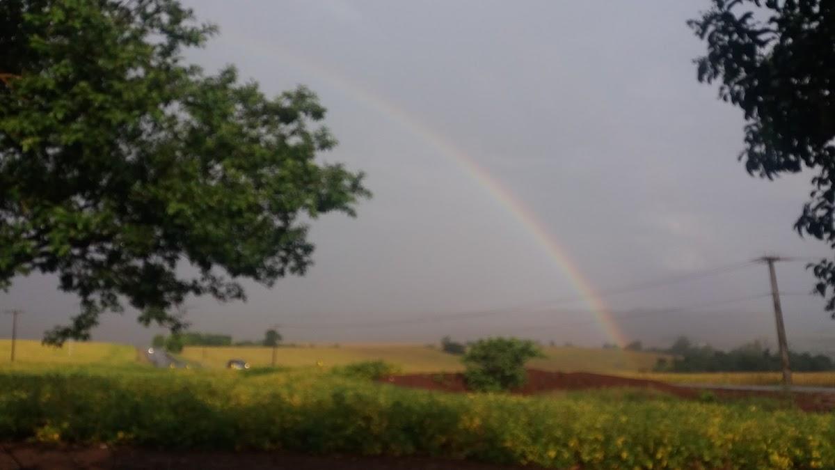 Registro de marca em Formosa do Oeste, Paraná