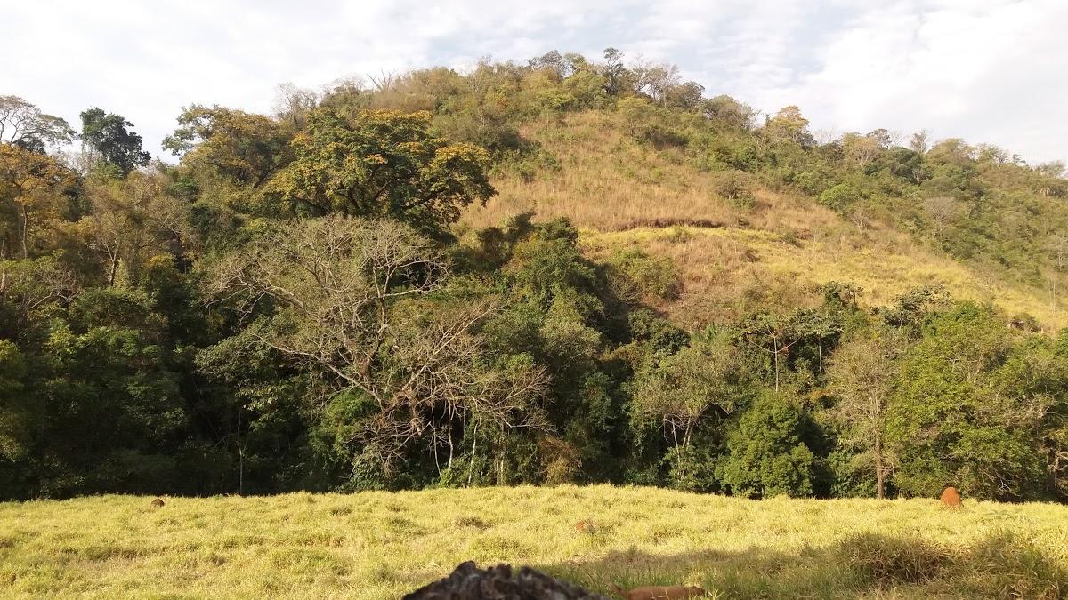 Registro de marca em Fortaleza de Minas, Minas Gerais