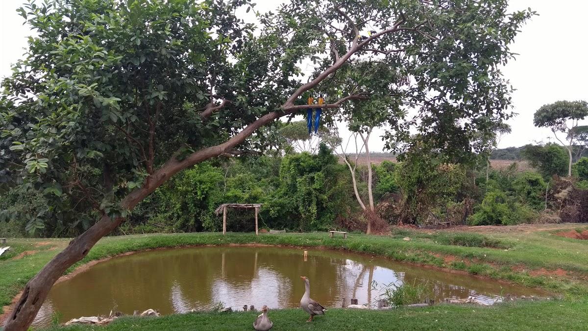 Registro de marca em Gameleira de Goiás, Goiás