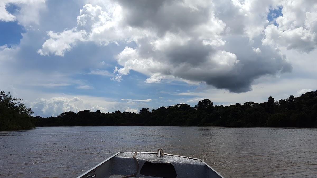 Registro de marca em Gaúcha do Norte, Mato Grosso
