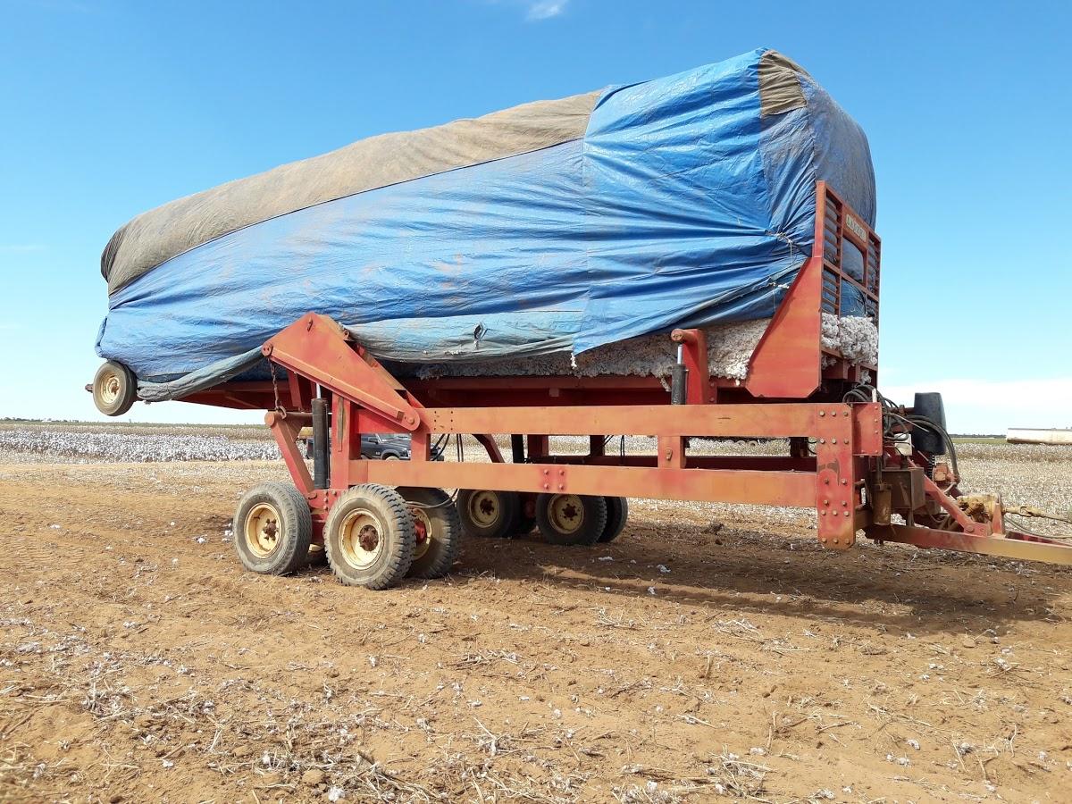 Registro de marca em Gilbués, Piauí