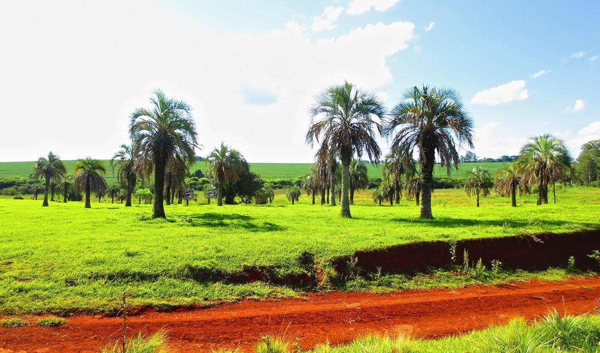 Registro de marca em Giruá, Rio Grande do Sul