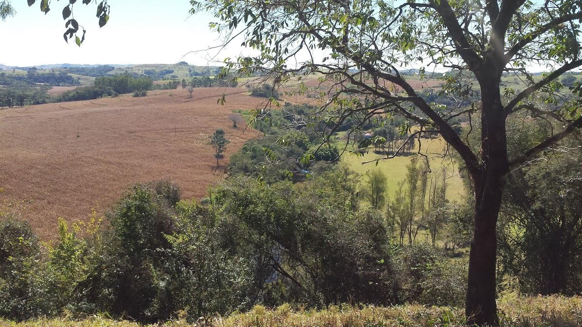 Registro de marca em Godoy Moreira, Paraná
