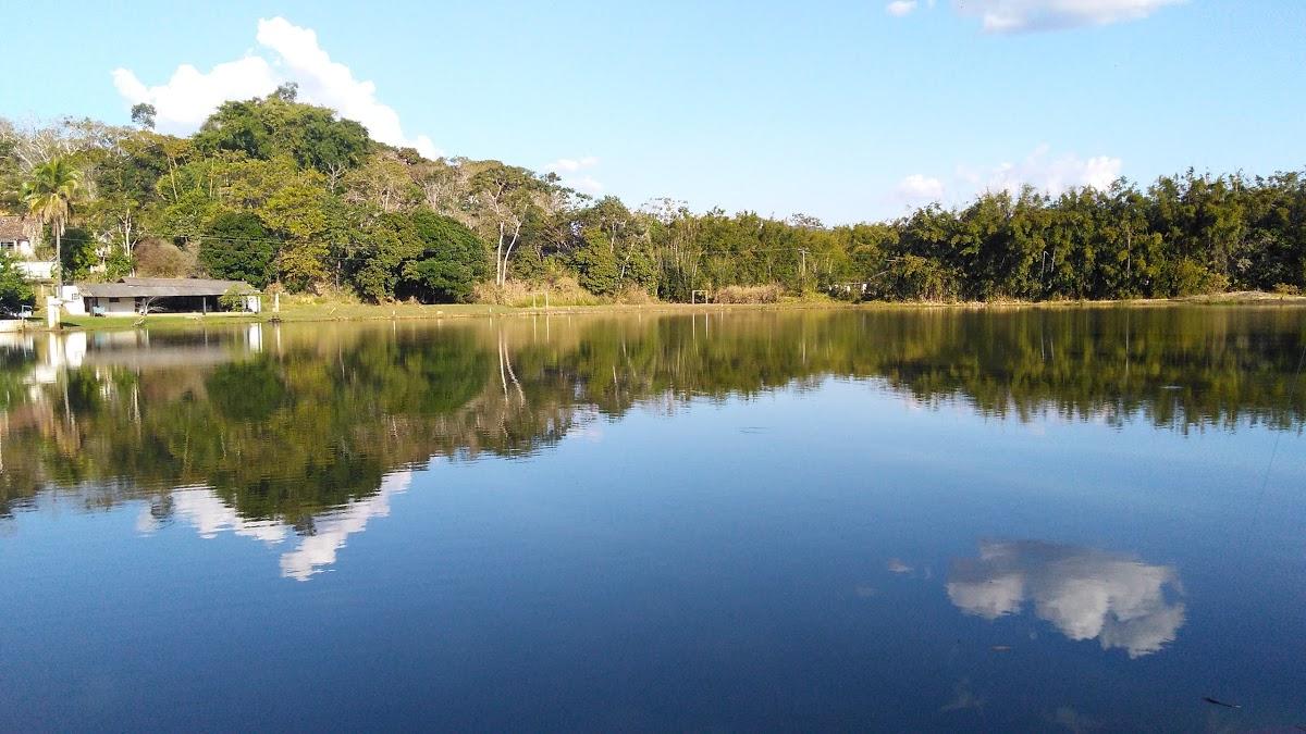 Registro de marca em Goianá, Minas Gerais