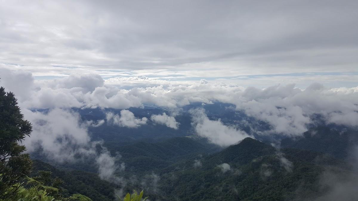 Registro de marca em Guabiruba, Santa Catarina