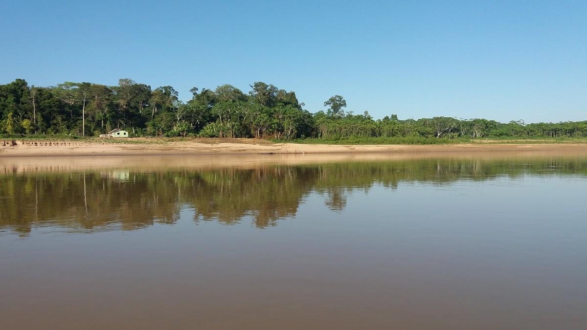 Registro de marca em Guajará, Amazonas