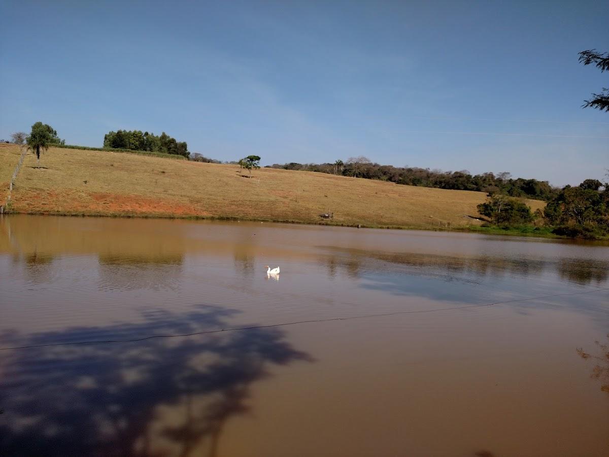 Registro de marca em Guaraíta, Goiás